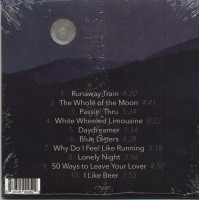 Aperçu: One Chord that Rings True (CD) Aperçu: One Chord that Rings True (CD)