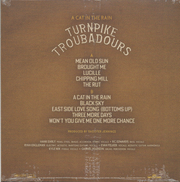 A Cat In The Rain (LP)