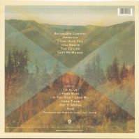 Aperçu: The Wild Feathers (LP) Aperçu: The Wild Feathers (LP)