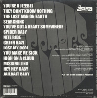 Aperçu: File Under Fuzz Punk (LP) Aperçu: File Under Fuzz Punk (LP)