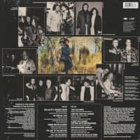 Aperçu: Water From The Wells Of Home (LP, 180g Vinyl & Download Code) Aperçu: Water From The Wells Of Home (LP, 180g Vinyl & Download Code)