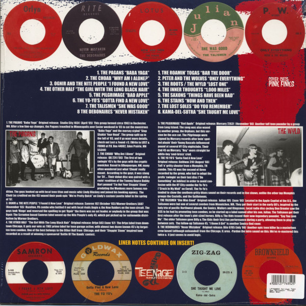 Teenage Shutdown Vol.3 - Things Been Bad! (LP)