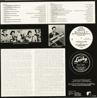 Aperçu: Boppin' Hillbilly Vol.22 (LP) Aperçu: Boppin' Hillbilly Vol.22 (LP)