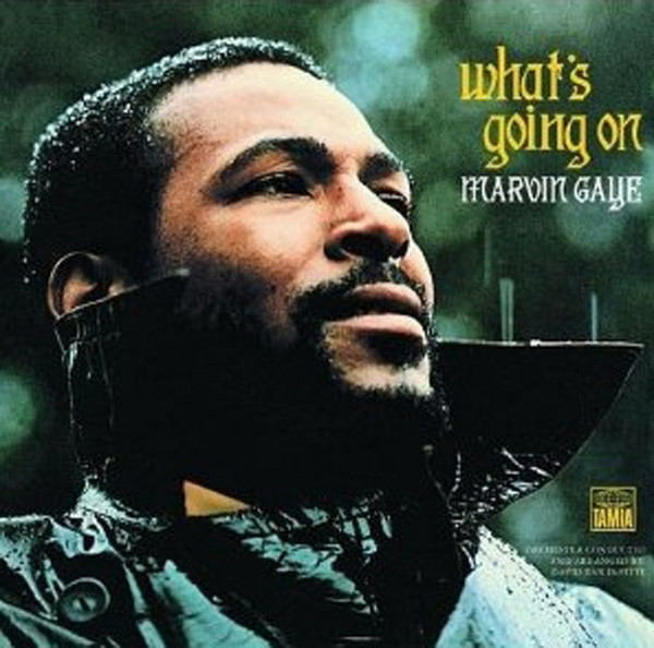 What's Going On (1991) 180g Vinyl What's Going On (1991) 180g Vinyl
