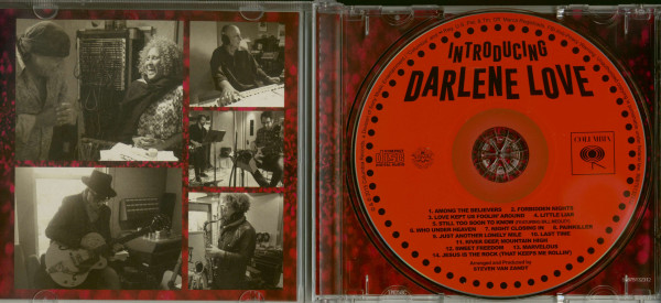 Introducing Darlene Love