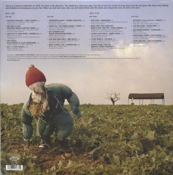 Stanley & Wiggs Present Incident At A Free Festival (2-LP)