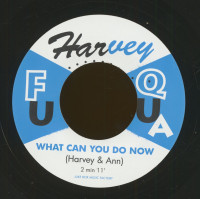 Aperçu: Any Way You Wanta - What Can You Do Now (7inch, 45rpm, BC) Aperçu: Any Way You Wanta - What Can You Do Now (7inch, 45rpm, BC)