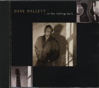 Aperçu: In The Falling Dark (CD) Aperçu: In The Falling Dark (CD)