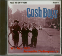 Aperçu: We Are Still Juvenile Deliquents (CD) Aperçu: We Are Still Juvenile Deliquents (CD)
