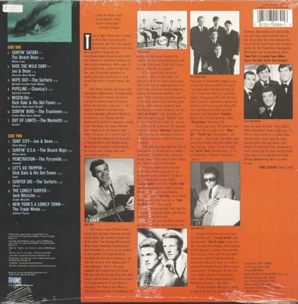 Surfin' Hits (LP)