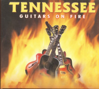 Aperçu: Guitars On Fire Aperçu: Guitars On Fire