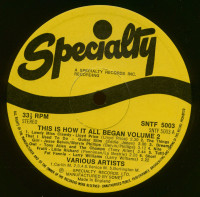 Aperçu: This Is How It All Began Vol.2 (LP) Aperçu: This Is How It All Began Vol.2 (LP)