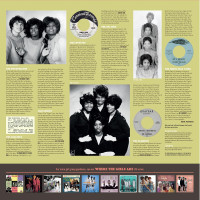 Aperçu: Hearts For Sale - Girl Group Sounds USA 1961-1967 (LP) Aperçu: Hearts For Sale - Girl Group Sounds USA 1961-1967 (LP)