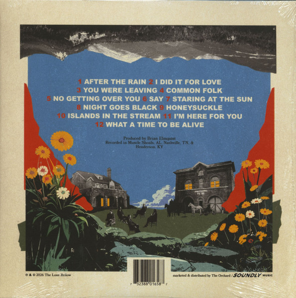 What A Time To Be Alive (LP)