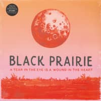 Aperçu: A Tear In The Eye Is A Wound In The Heart (2-LP) Aperçu: A Tear In The Eye Is A Wound In The Heart (2-LP)