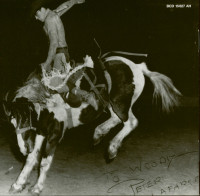 Aperçu: Songs Of The Cowboys - Iron Mountain And Other Songs (CD) Aperçu: Songs Of The Cowboys - Iron Mountain And Other Songs (CD)