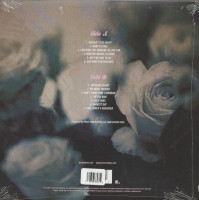 Aperçu: Wouldn't It Be Great (LP) Aperçu: Wouldn't It Be Great (LP)