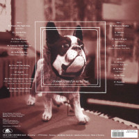 Aperçu: Trampoline (180g Vinyl, 33rpm) (2-LP) Aperçu: Trampoline (180g Vinyl, 33rpm) (2-LP)