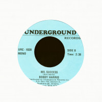 Aperçu: The Joker Went Wild - Mr. Success(7inch, 45rpm) Aperçu: The Joker Went Wild - Mr. Success(7inch, 45rpm)