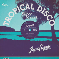 Aperçu: Can't Stop Dancing (12 inch Vinyl Maxi) Aperçu: Can't Stop Dancing (12 inch Vinyl Maxi)