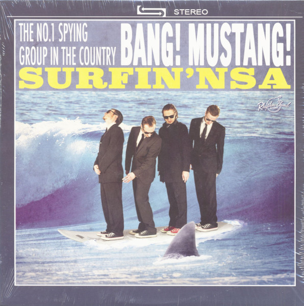 Surfin' NSA (LP) Surfin' NSA (LP)