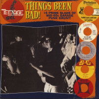 Aperçu: Teenage Shutdown Vol.3 - Things Been Bad! (LP) Aperçu: Teenage Shutdown Vol.3 - Things Been Bad! (LP)