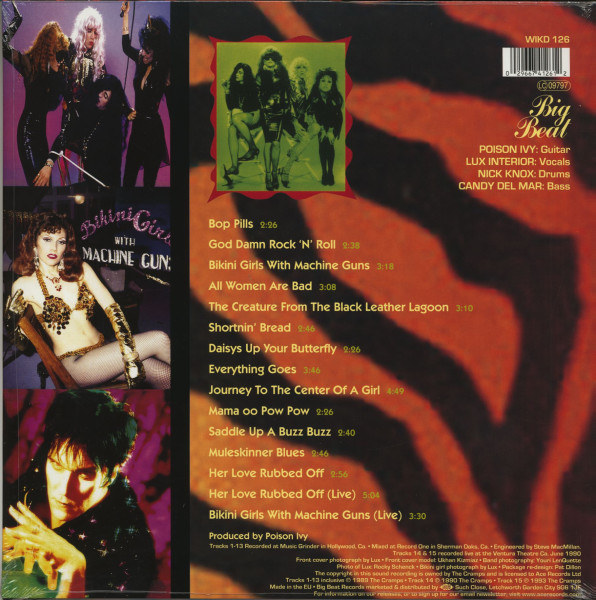 Stay Sick (LP)