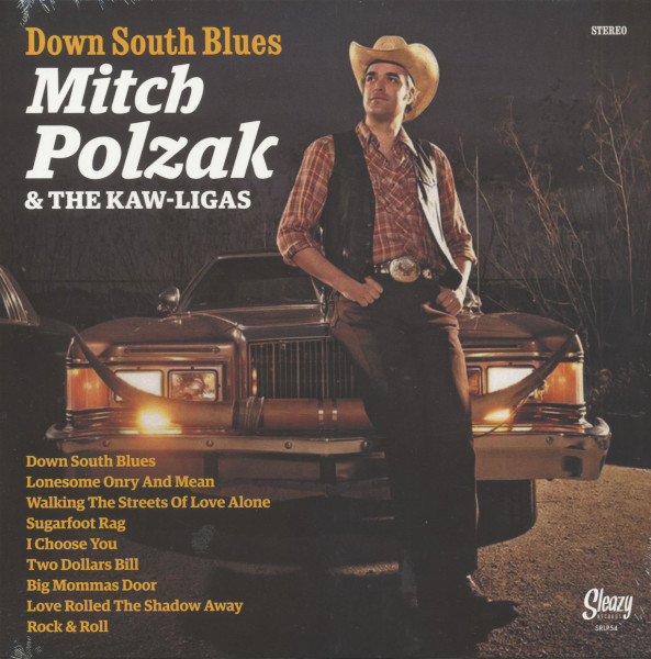 Down South Blues (LP) Down South Blues (LP)