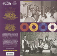 Aperçu: Last Of The Garage Punk Unknowns, Vol.4 (LP) Aperçu: Last Of The Garage Punk Unknowns, Vol.4 (LP)