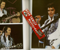 Aperçu: Elvis Ten Years After by Anne E Nixon (Hardback) Aperçu: Elvis Ten Years After by Anne E Nixon (Hardback)