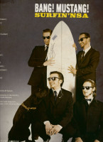 Aperçu: Surfin' NSA (LP) Aperçu: Surfin' NSA (LP)