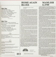 Aperçu: Home Again Blues (LP) Aperçu: Home Again Blues (LP)