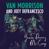 Aperçu: You're Driving Me Crazy (2-LP) Aperçu: You're Driving Me Crazy (2-LP)