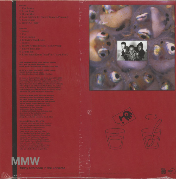 Friday Afternoon In The Universe (LP)