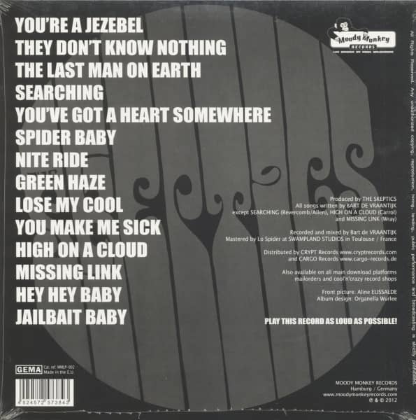 File Under Fuzz Punk (LP)