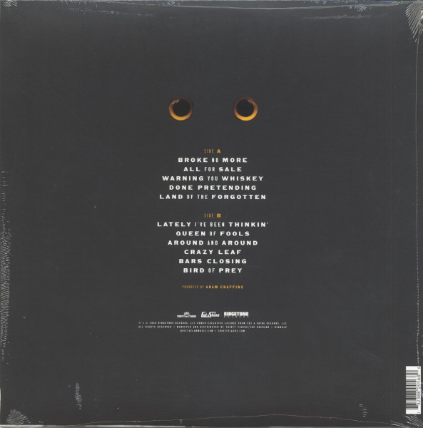 Land Of The Forgotten (LP)