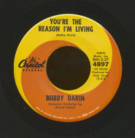 Aperçu: You're The Reason I'm Living - Now You're Gone (7inch, 45rpm, PS) Aperçu: You're The Reason I'm Living - Now You're Gone (7inch, 45rpm, PS)