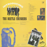 Aperçu: Untamed Revival Rock & Roll (LP) Aperçu: Untamed Revival Rock & Roll (LP)