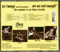 Aperçu: Are We Cool Enough? (2013) Aperçu: Are We Cool Enough? (2013)