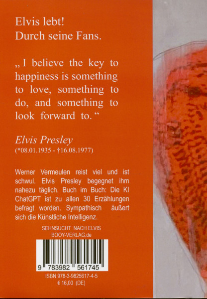 Sehnsucht nach Elvis (Erzählungen)