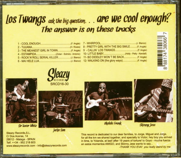 Are We Cool Enough? (2013)