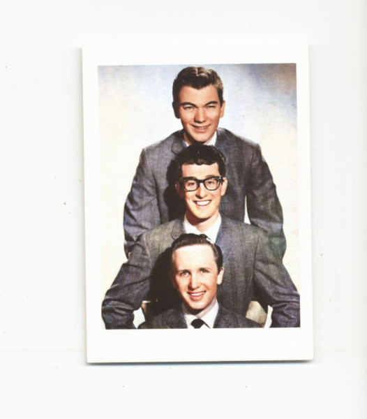 The Alternative Chirping Crickets (LP, 10inch, Cover#2, Ltd.)