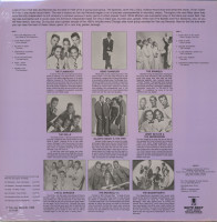 Aperçu: VeeJay Presents Doo Wop's Greatest Hits (LP) Aperçu: VeeJay Presents Doo Wop's Greatest Hits (LP)