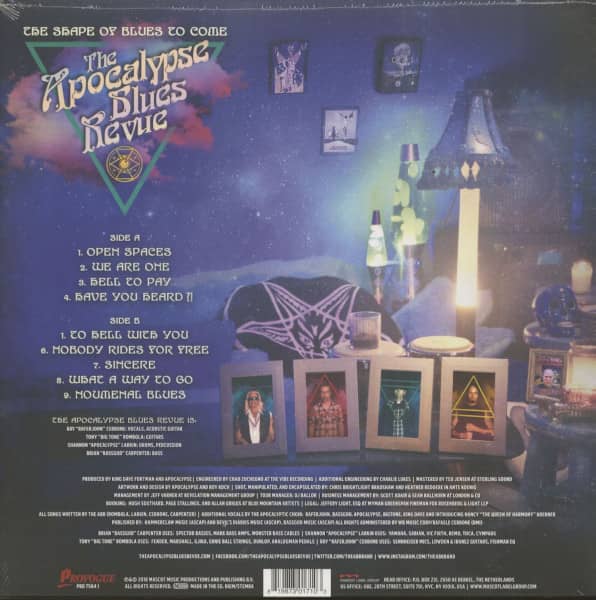 The Shape Of Blues To Come (LP,180g Vinyl)