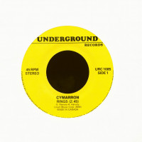 Aperçu: Rings - What The Hell I Got (7inch, 45rpm) Aperçu: Rings - What The Hell I Got (7inch, 45rpm)