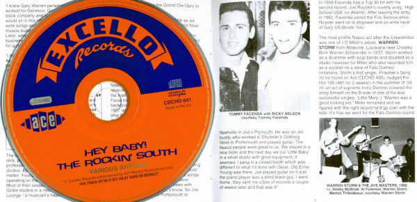 Hey Baby - The Rockin' South (CD)