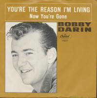 Aperçu: You're The Reason I'm Living - Now You're Gone (7inch, 45rpm, PS) Aperçu: You're The Reason I'm Living - Now You're Gone (7inch, 45rpm, PS)