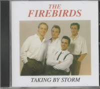 Aperçu: Taking By Storm (CD) Aperçu: Taking By Storm (CD)