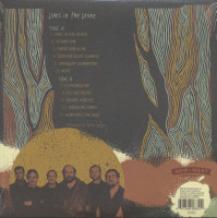 Aperçu: Lines In The Levee (LP) Aperçu: Lines In The Levee (LP)