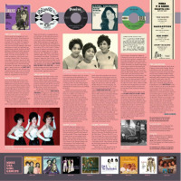 Aperçu: Look But Don't Touch - Girl Group Sounds USA 1962-1966 (LP) Aperçu: Look But Don't Touch - Girl Group Sounds USA 1962-1966 (LP)